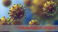 coronavirus news from www.goerie.com