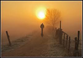 Image result for man walking on a path