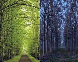 Image result for two paths of life