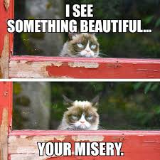 16 of the Best Grumpy Cat Memes - Catster via Relatably.com