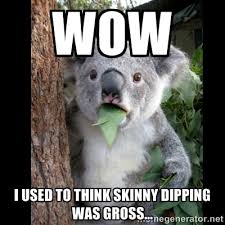 Wow I used to think skinny dipping was gross... - Koala can&#39;t ... via Relatably.com
