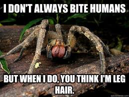 Most Poisonous Spider in the World memes | quickmeme via Relatably.com