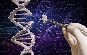 Aussie scientists unravel vital role of 'junk' DNA