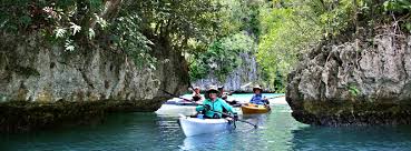 Image result for Palau Mangrove Kayak