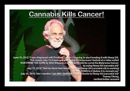 Image result for cannabis cancer