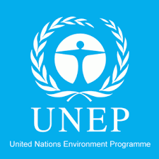 Image result for united nations environment programme logo