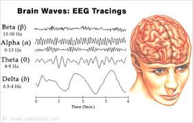 Image result for electroencephalography (eeg)