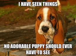 I have seen things No adorable puppy should ever have to see ... via Relatably.com
