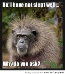 Funny monkey didn&#39;t slept well via Relatably.com