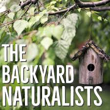 The Backyard Naturalists