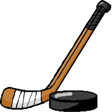 Image result for hockey