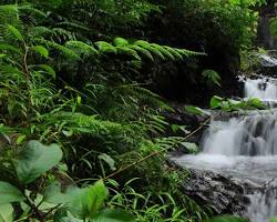 Image of Chethalayam Waterfalls Wayanad