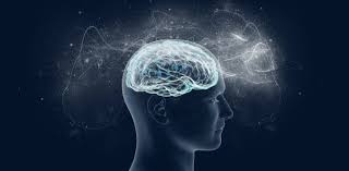 Can consciousness be explained by quantum physics? My research ...