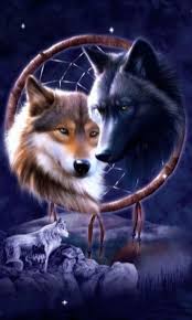 Image result for wolves images free
