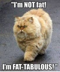 Fat Memes on Pinterest via Relatably.com
