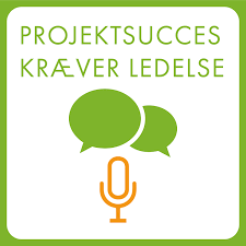 Friis og Berg's: Projektsucces kræver ledelse