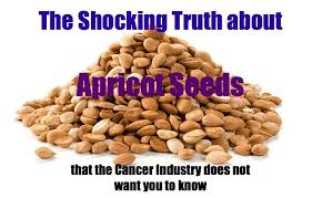 Image result for apple seeds for cancer