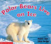 time to discover polar bears live on ice  ̹ ˻