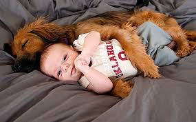 Résultats de recherche d'images pour « bébé et chien »