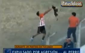 Un futbolista lanza a un perro a las gradas Images?q=tbn:ANd9GcTtzJfo5E55Nei4mfmdsNEkeuzwma6cSvosrpnJlkalIRtjjaNmFg