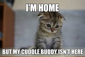 I&#39;m home but my cuddle buddy isn&#39;t here - Sad Kitten - quickmeme via Relatably.com