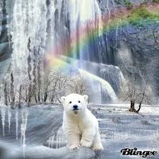 Résultat de recherche d'images pour "gifs ours blancs"