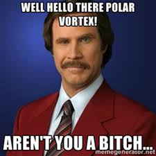 Check Out These Polar Vortex Memes-You&#39;ll Laugh So Much, You&#39;ll ... via Relatably.com