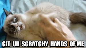 cat scratch memes | quickmeme via Relatably.com