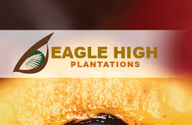 Image result for PT Eagle High Plantations Tbk