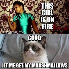 Grumpy cat #GrumpyCat #Memes this girl is on fire #Baby Cats #cute ... via Relatably.com
