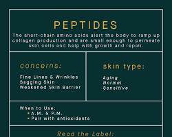 peptides ingredient for skin care