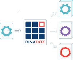 Image result for site:https://www.binadox.com/