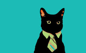 Bussines cat wallpaper - Meme wallpapers - #15855 via Relatably.com