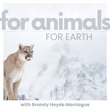 For Animals For Earth - a calm, non-judgemental place to learn