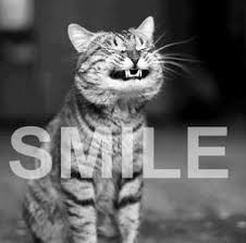 Image result for remember to smile