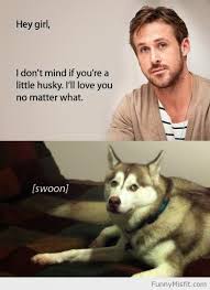Facing my Demons: Funny &quot;Hey Girl&quot; memes that makes me laugh via Relatably.com
