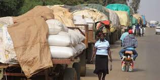 Risultato dell'immagine per IMPORTANZA DELL'AGRICOLTURA PER L'ECONOMIA DEL KENYA
