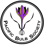 Fall Blooming Crocus Two | Pacific Bulb Society