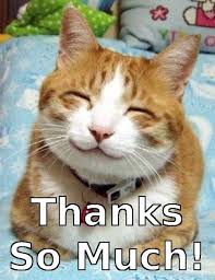 Happy Cat Face Meme | CatFish via Relatably.com