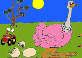 Resultado de imagen de avestruz troglodita