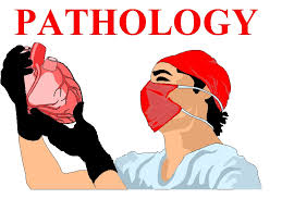 PATHOLOGY SOLVED QUESTION PAPERS