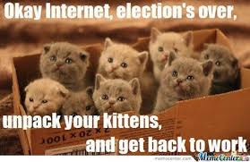 Kitten Memes. Best Collection of Funny Kitten Pictures via Relatably.com