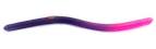 Purple fire tail worm