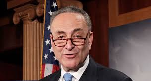 Image result for schumer